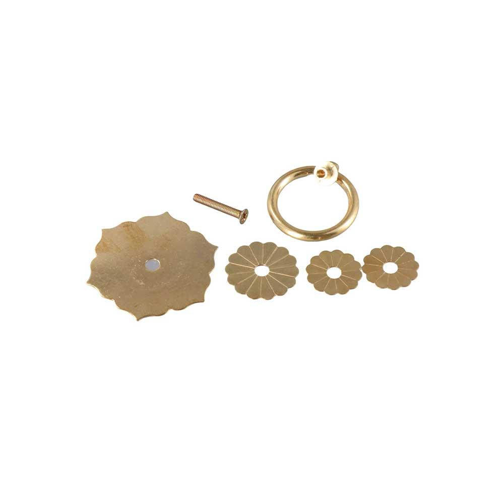 Poignée de porte arrière, poig - Furniture Hardware With Backplate avis et prix