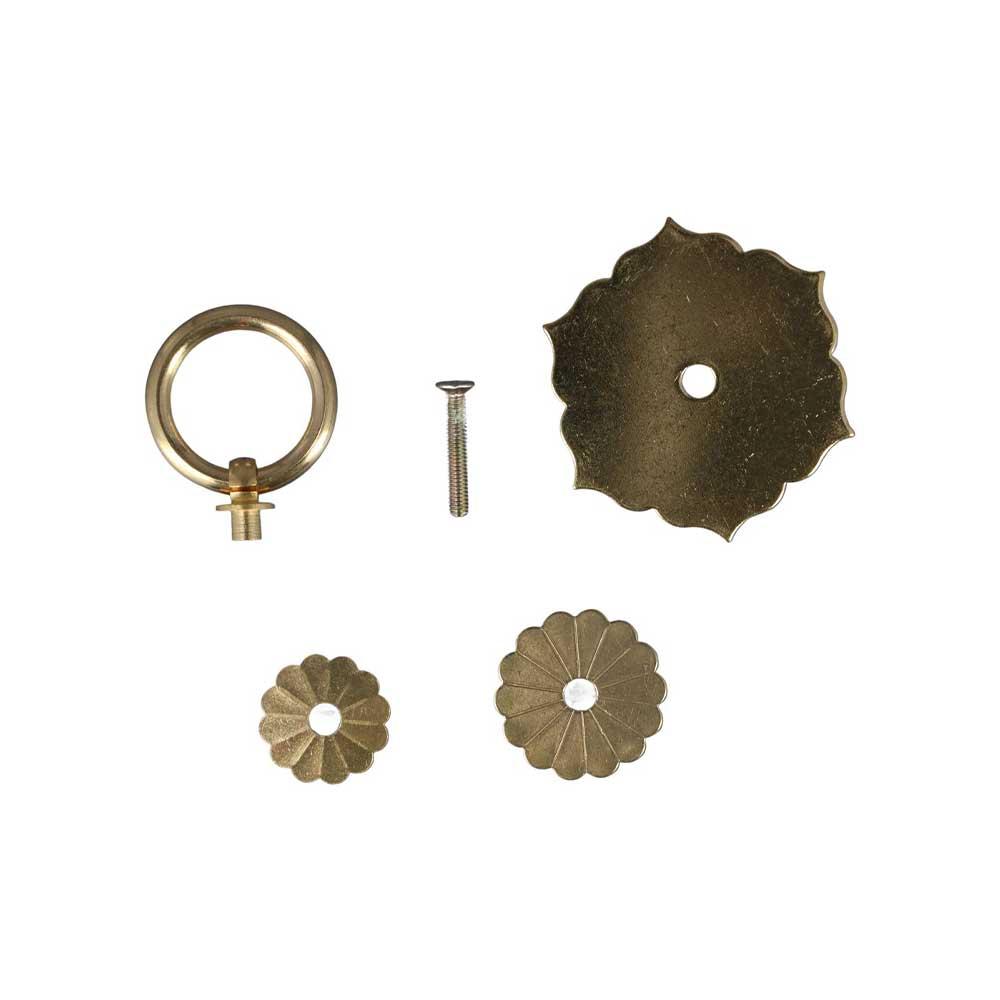 Poignée de porte arrière, poig - Furniture Hardware With Backplate avis et prix