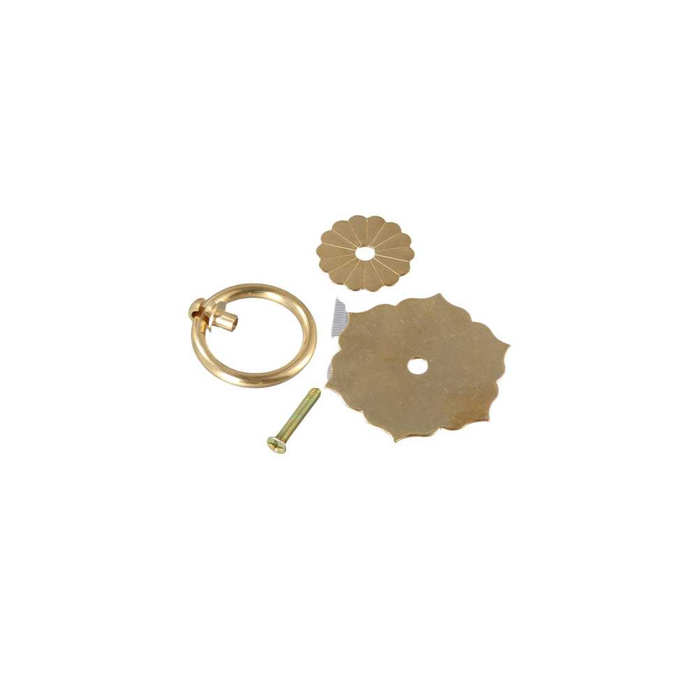 Plaque arrière Bronze laiton m - Furniture Hardware With Backplate avis et prix